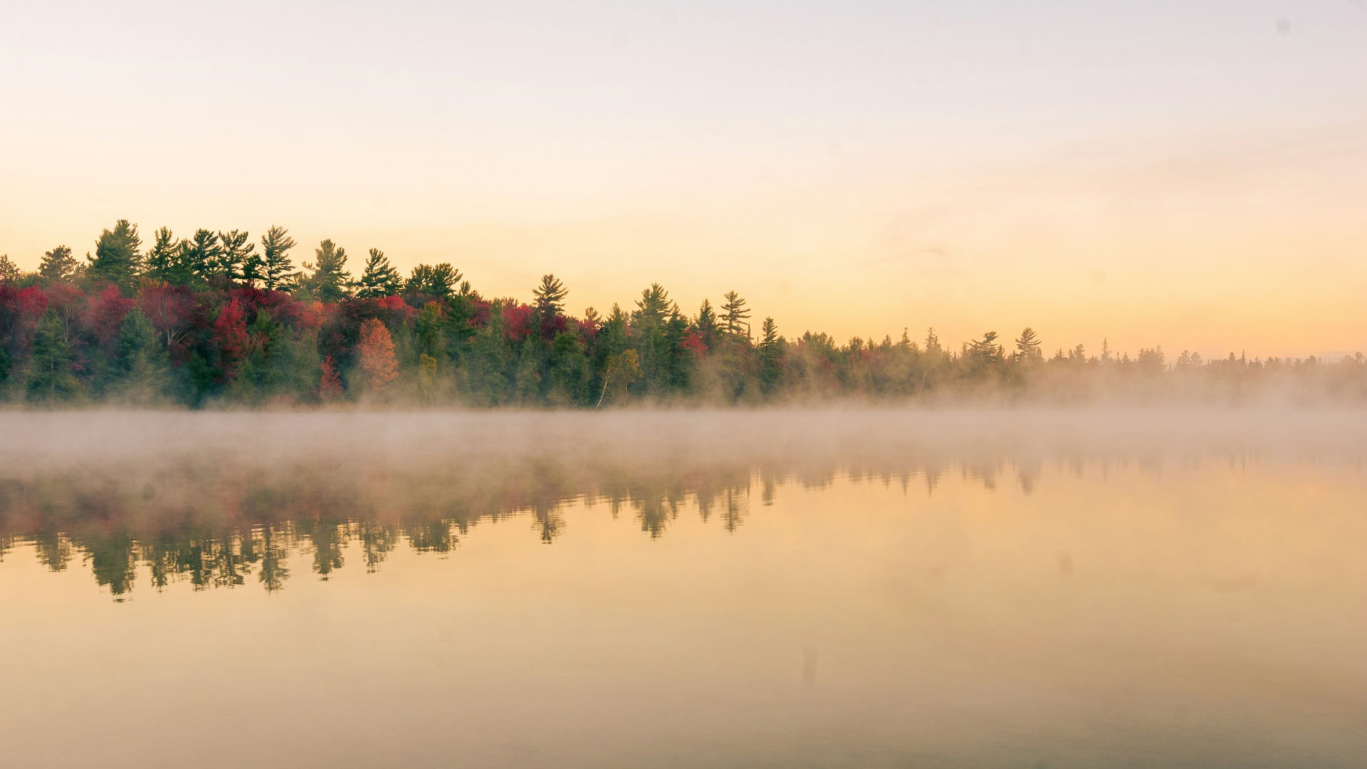 Misty sunrise over a calm lake with autumn-colored trees reflecting along the shoreline.