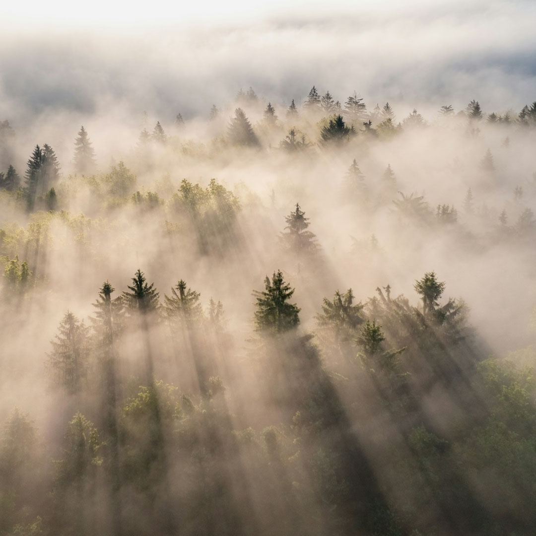 Default customer avatar